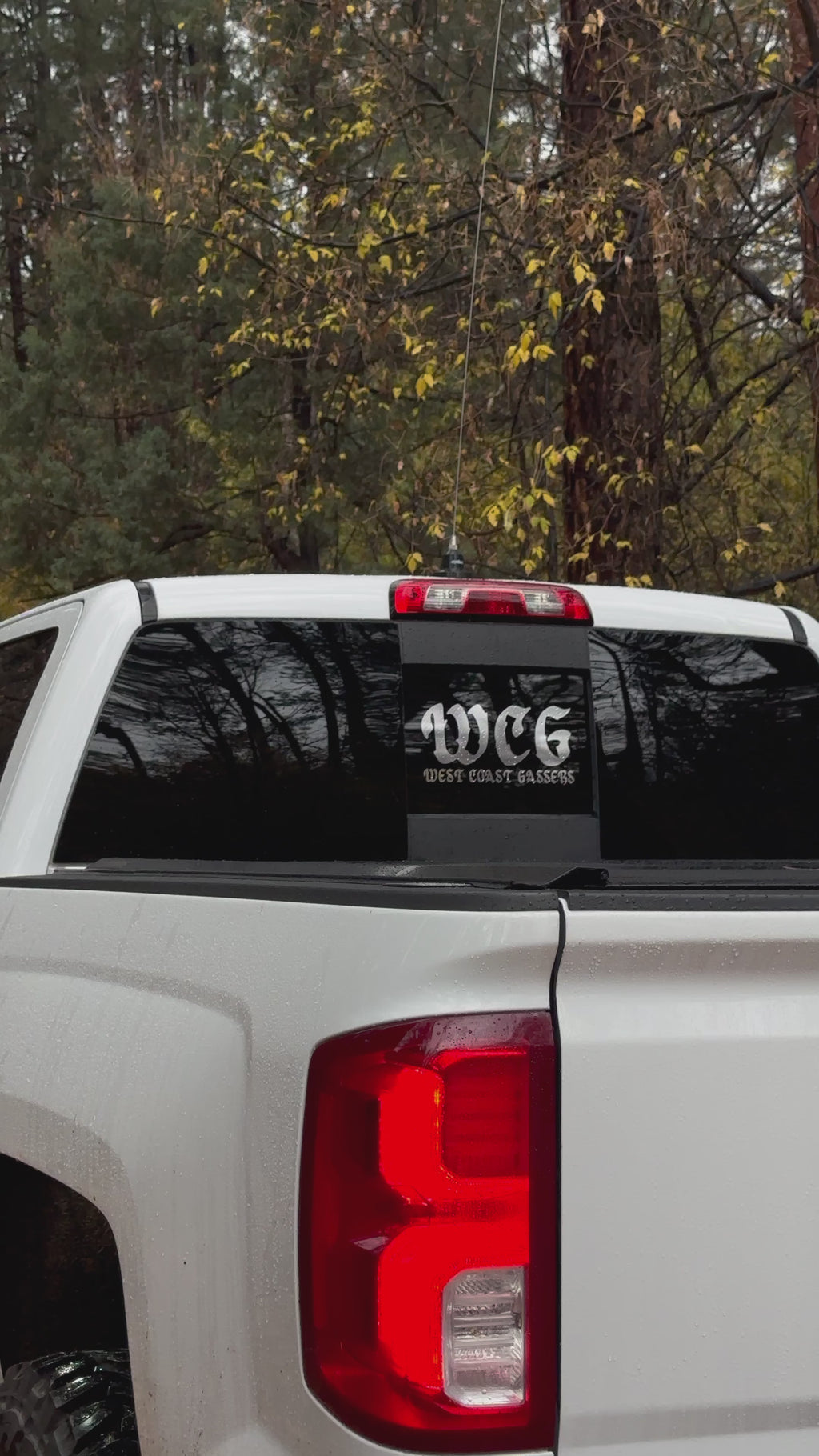 Chrome 12 inch WCG Sticker